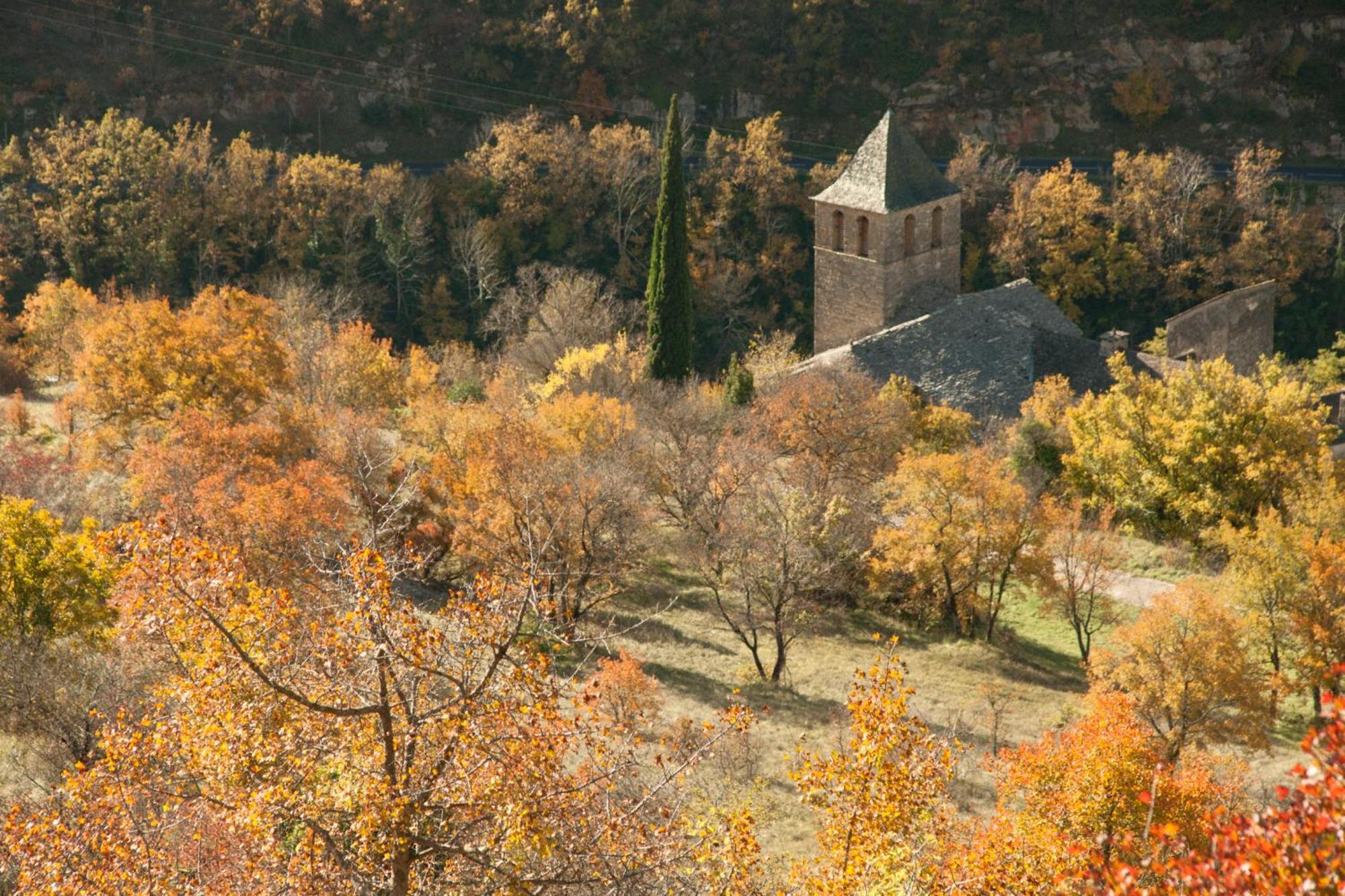Le Colombier Saint-Veran La Roque-Sainte-Marguerite エクステリア 写真