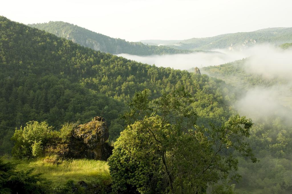 Le Colombier Saint-Veran La Roque-Sainte-Marguerite エクステリア 写真