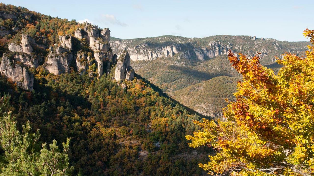 Le Colombier Saint-Veran La Roque-Sainte-Marguerite エクステリア 写真
